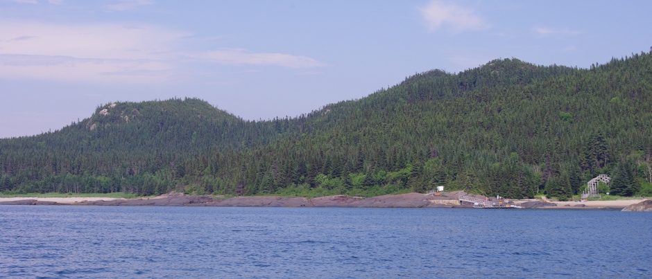 Mon voyage en Côte-Nord : Aux oiseaux dans l’archipel des Sept Îles