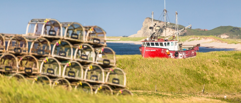 Un an aux Îles de la Madeleine : au cœur de la vie insulaire