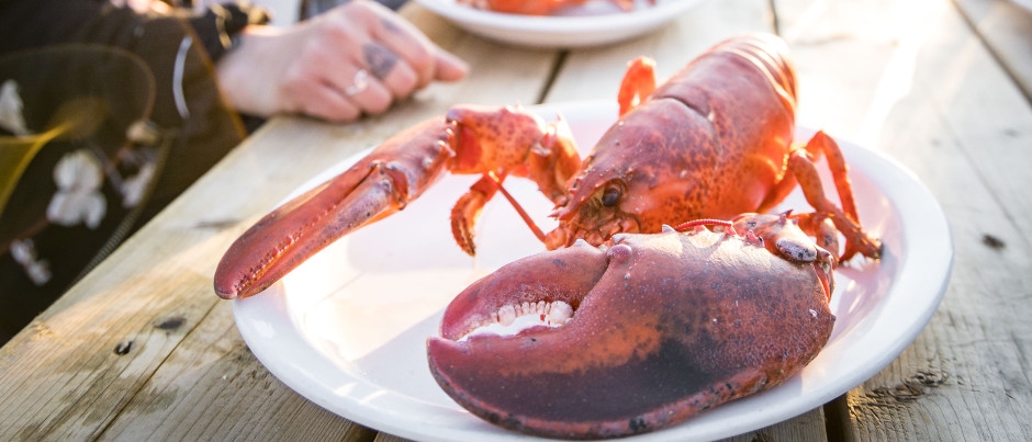 Au large des Îles de la Madeleine... une mer de saveurs!