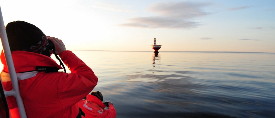 Explorez la vie marine au parc marin du Saguenay–Saint-Laurent