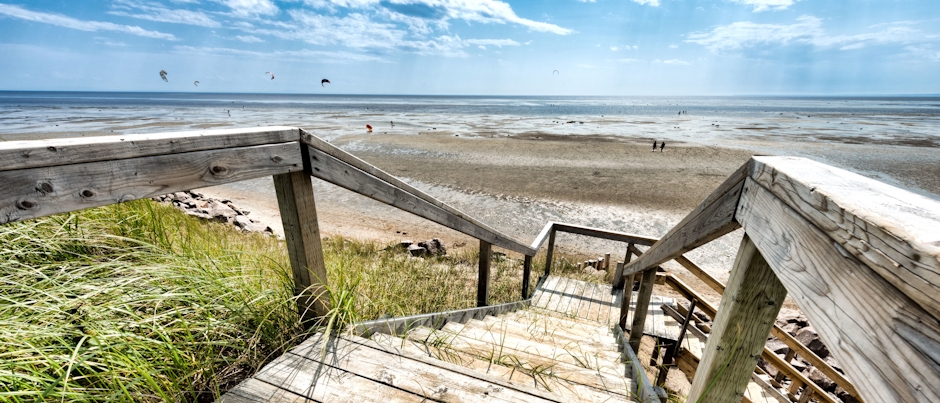Denis Cardinal : Un passionné de la Côte-Nord en toute simplicité - Crédit photo : Parc nature de Pointe-aux-Outardes / Dany Coulombe Denis Cardinal : Un passionné de la Côte-Nord en toute simplicité