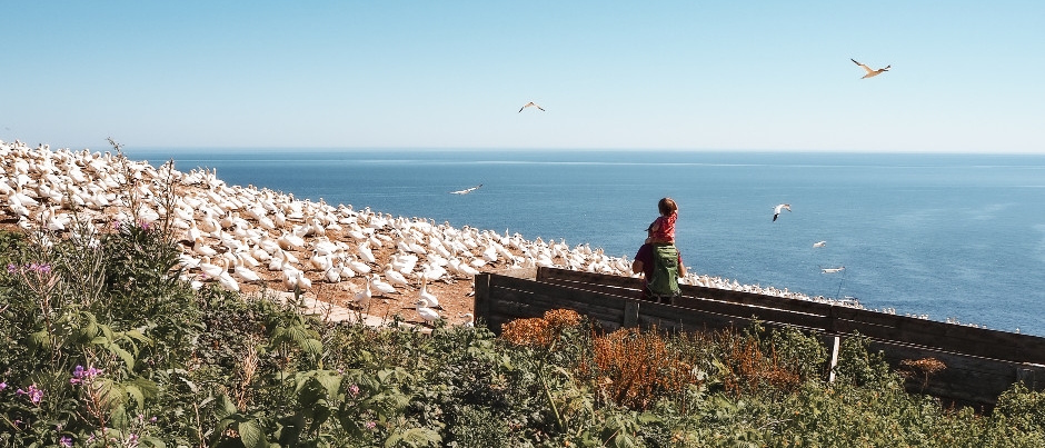 Parc national de l'Île-Bonaventure-et-du-Rocher-Percé - Photo Credit: Authentik Canada / Sarah Mazière Québec by the Sea: 12 Must-Sees for the Whole Family