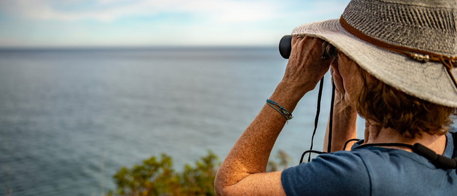 The Best Bird-Watching Sites in the Maritime Regions of Québec