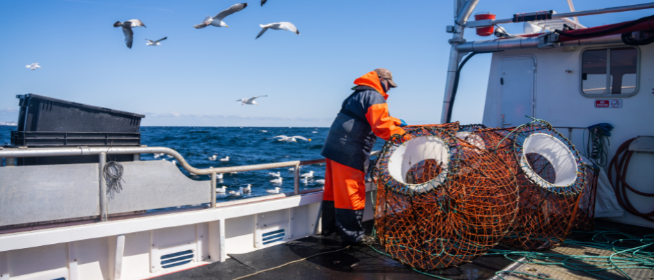 Pourquoi visiter les régions maritimes du Québec en juin?