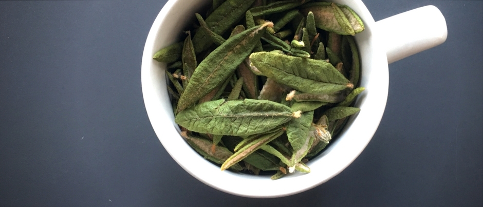 Saveurs régionales : Le thé du Labrador - Crédit photo : Le Québec maritime Saveurs régionales : Le thé du Labrador
