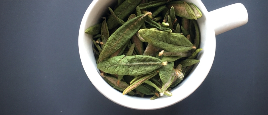 Regional Flavours: Labrador Tea