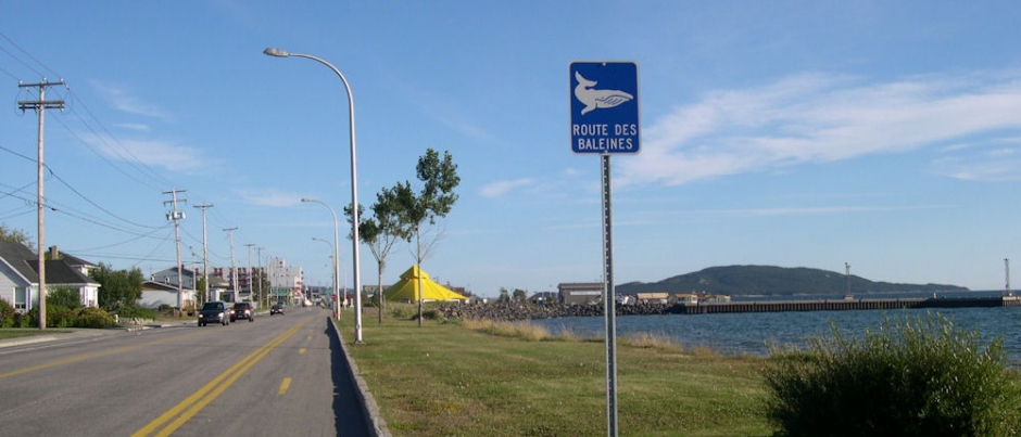 The Whale Route in Québec