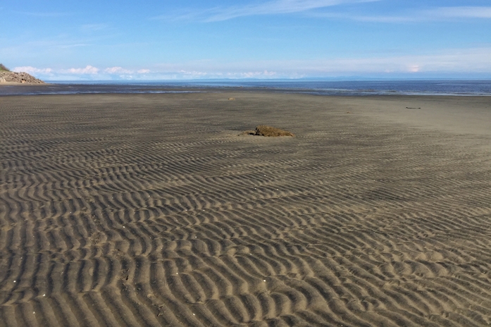 Battures de sable à perte de vue