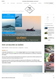 Voir les baleines au Québec