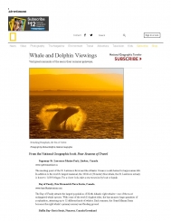 Top 10 Whale and Dolphin Viewing