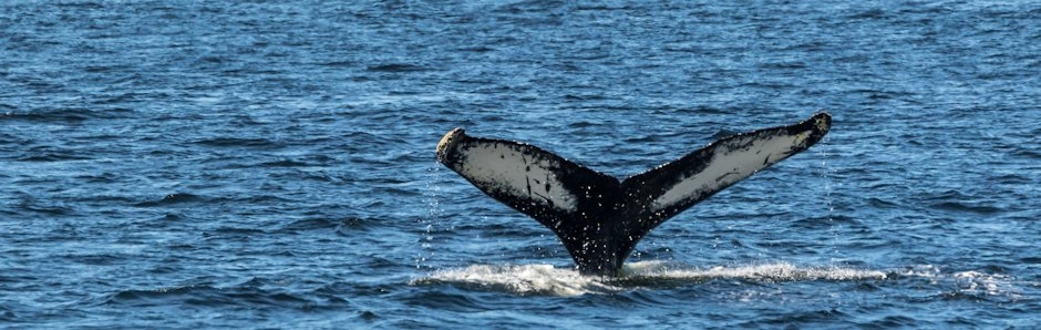 De Tadoussac au kilomètre 214, route 389