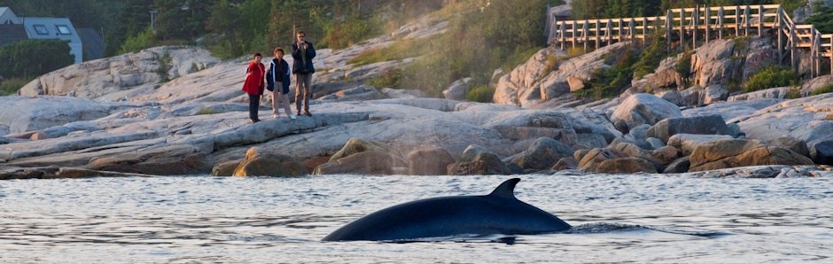 Pointe-aux-Outardes to Tadoussac