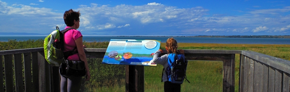 Rivière-du-Loup to Rimouski