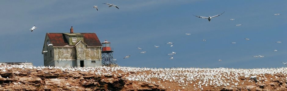 Île de Grosse Île