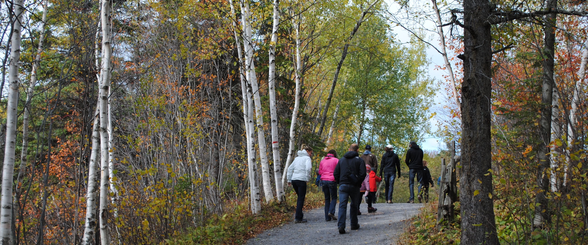 Parc des Chutes (Falls Park) in RivièreduLoup activities Québec