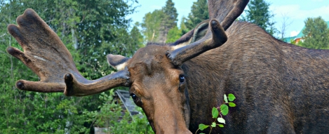 Côte-Nord