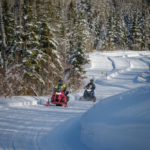 Motoneigistes sur un sentier du Bas-Saint-Laurent