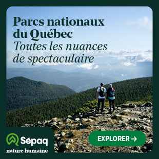 Randonnée en montagne