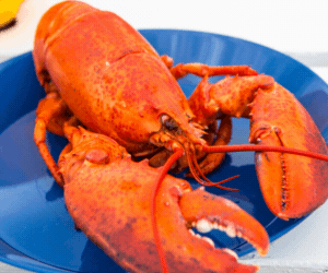 Tourisme Îles de la Madeleine