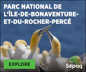 Île-Bonaventure-et-du-Rocher-Percé National Park