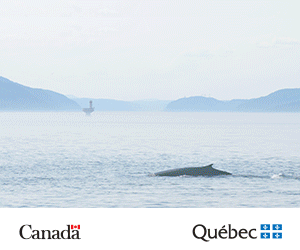 Saguenay-St. Lawrence Marine Park