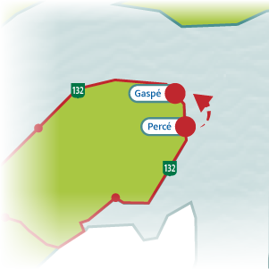 bus tours from quebec city to gaspe